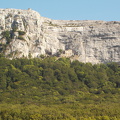 PIC00010