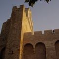 PIC00043