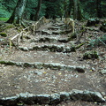 PIC00123