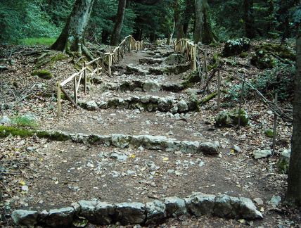PIC00123