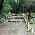 PIC00124