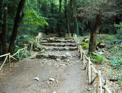 PIC00124