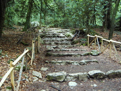 PIC00125