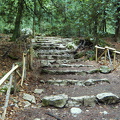 PIC00125