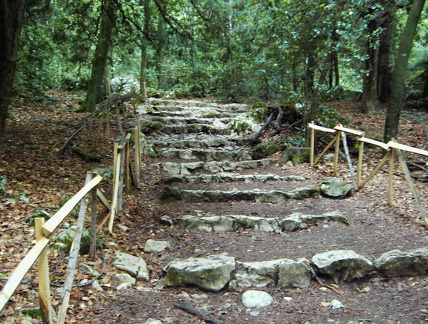 PIC00125