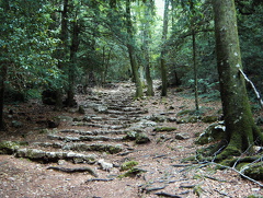 PIC00126