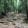 PIC00126