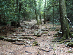 PIC00127