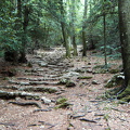 PIC00127