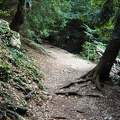 PIC00131