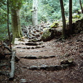 PIC00132