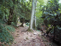 PIC00133