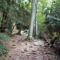 PIC00133