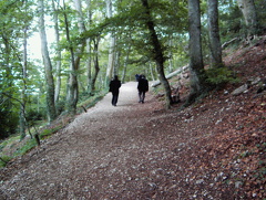 PIC00134