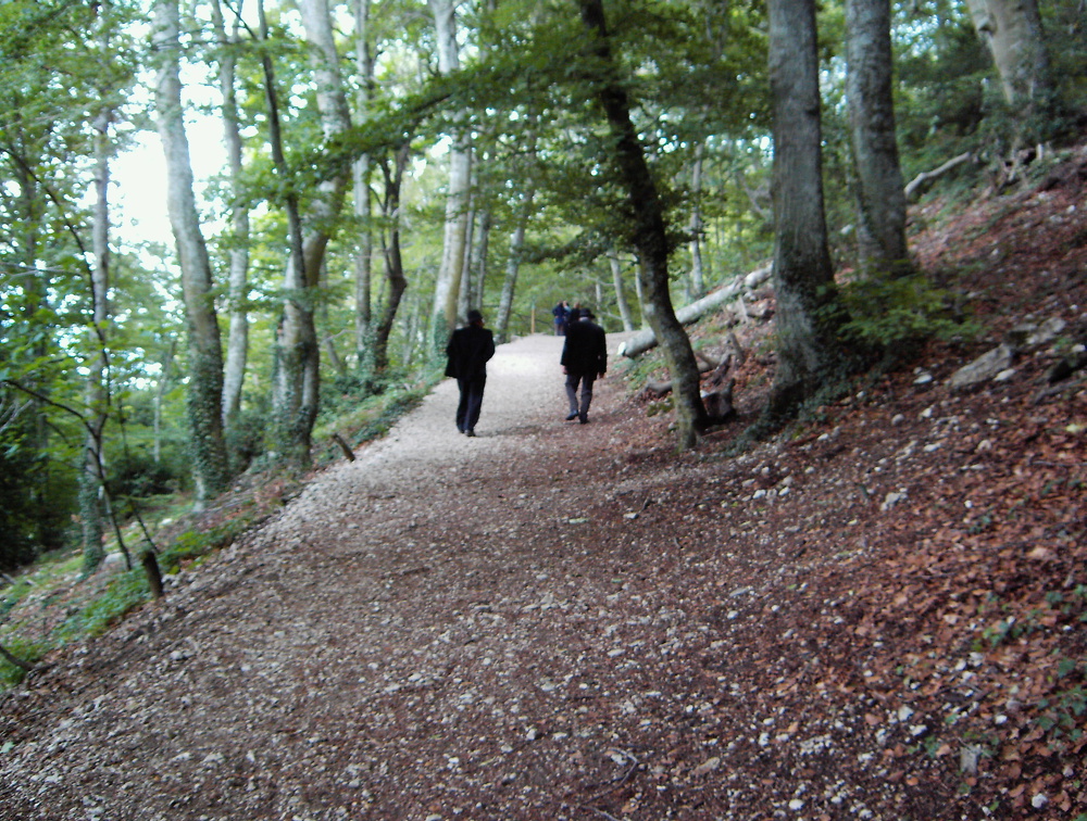 PIC00134
