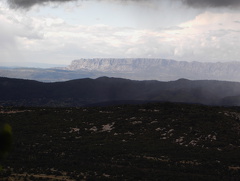 PIC00145