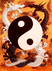 50048~Yin-Yang-Posters