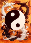 50048~Yin-Yang-Posters