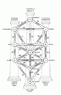 Arbre Tarot