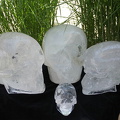 crane de cristal2 - Copie