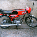 50-flandria