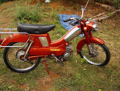 PIC00148