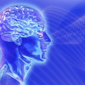cerveau