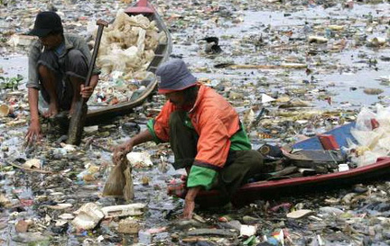 ile des déchets