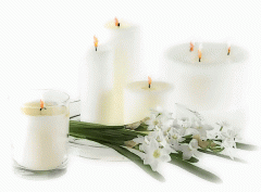 image00334444
