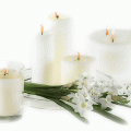 image00334444
