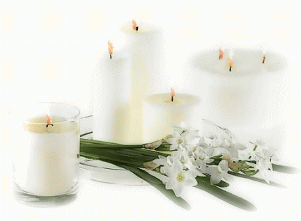 image00334444