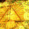 Nouvelle exposition SL700774.JPG