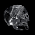 Redimensionnement de crystal-skull