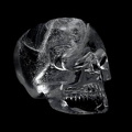 Redimensionnement de Redimensionnement de crystal-skull