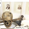 skull THOR