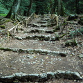 image027