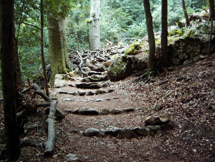 image031