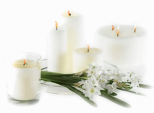 image00334444