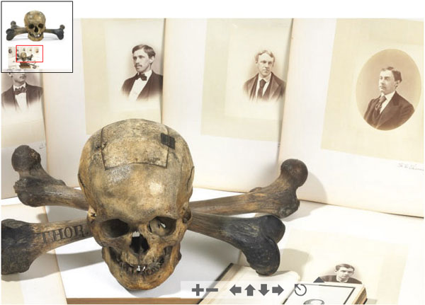 skull THOR